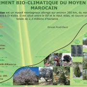 Etagement bio-climatique du Moyen-Atlas Marocain